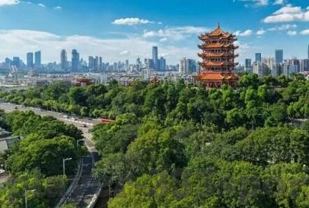 2.4足球完场比分-2.4足球完场比分，绿茵烽火中的数字记忆