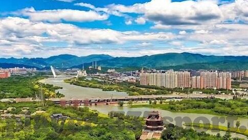 足球通比分-足球通比分,一场数据背后的热血与智慧较量